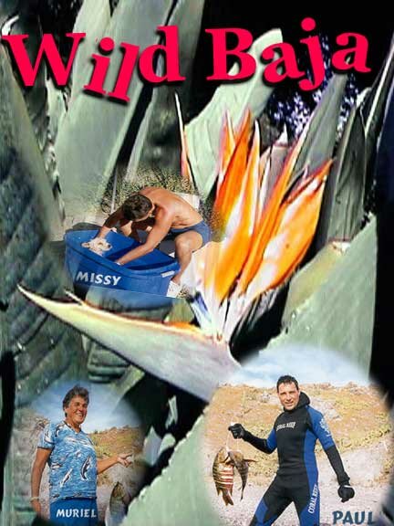 Wild Baja
